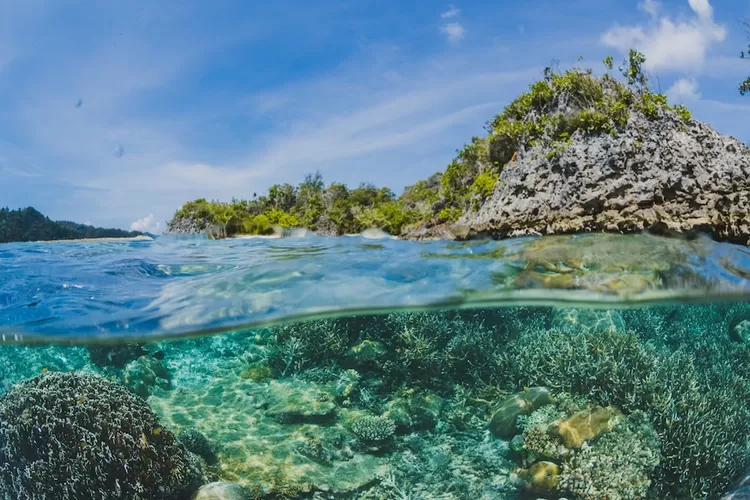 pulau maspari, destinasi wisata pantai sumatera selatan