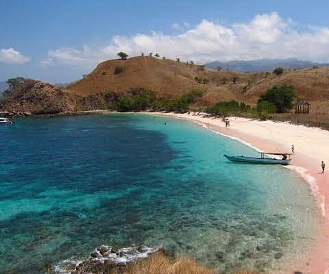 pantai pink Pantai di nusa tenggara 