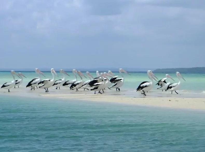 Pantai Ngurtafur Maluku Tenggara