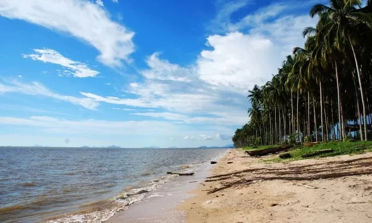 Pantai Kijing Pontianak