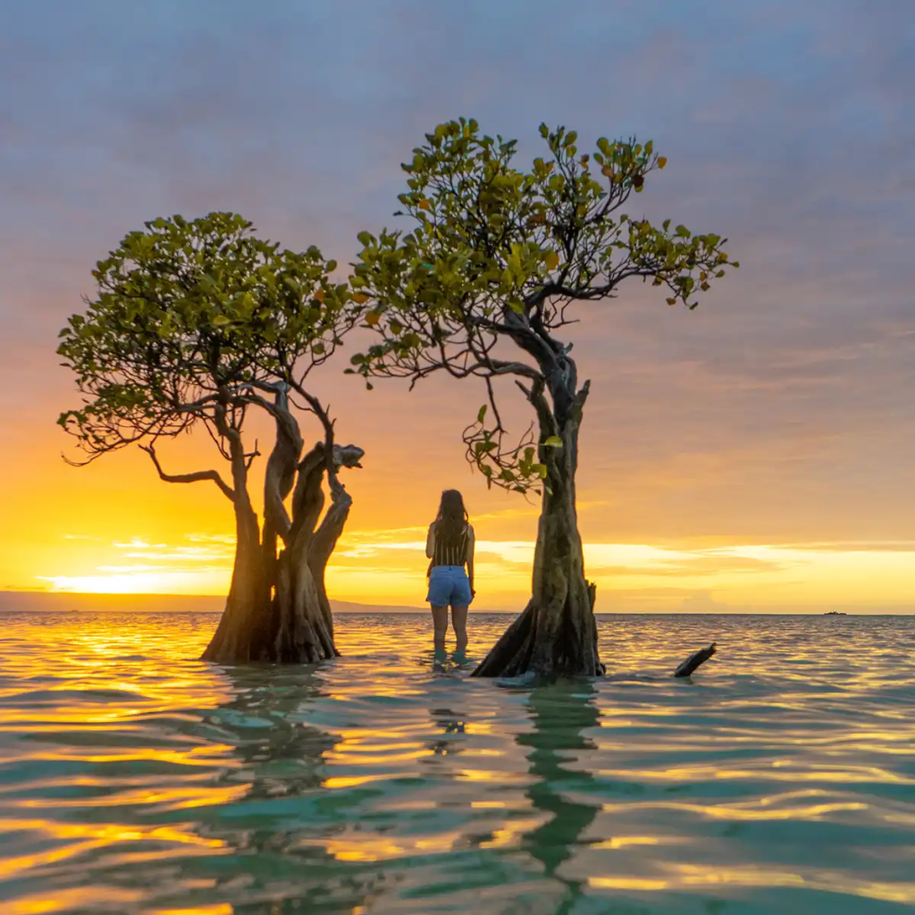 Pantai Walakiri Sumba