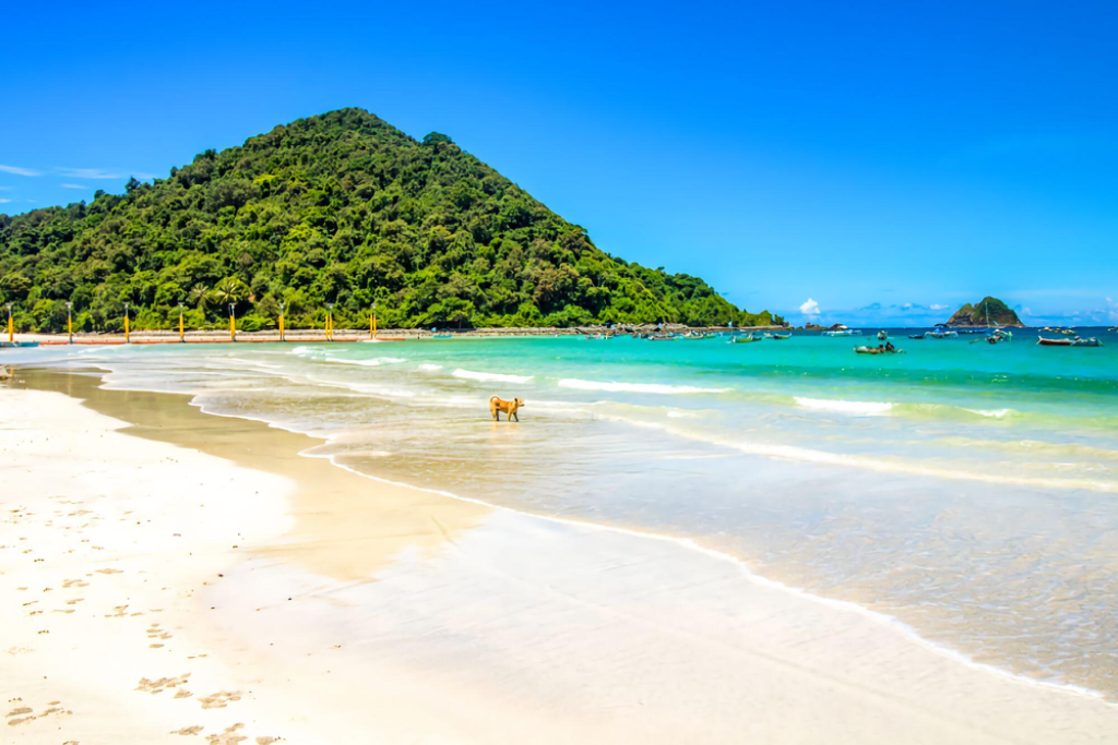 Destinasi Pantai Selong Blanak